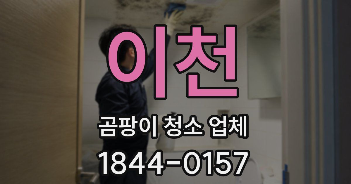 이천 곰팡이 청소 업체