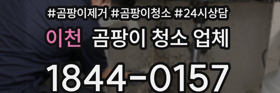이천 곰팡이 청소 업체