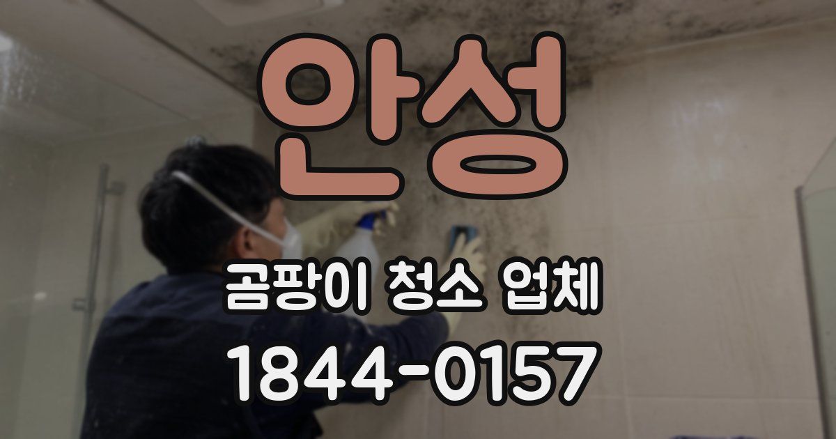 안성 곰팡이 청소 업체