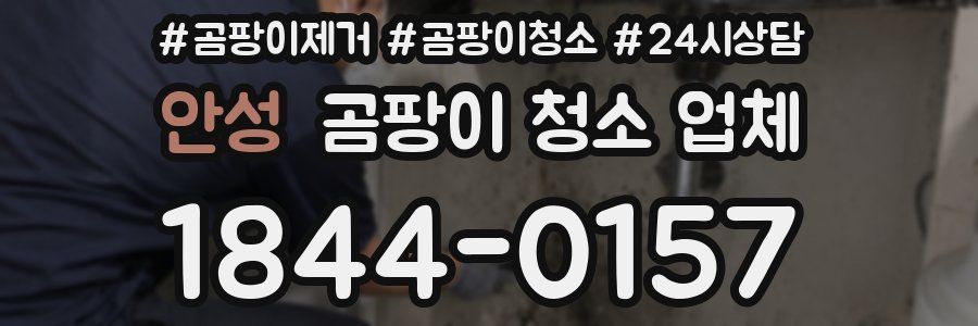 안성 곰팡이 청소 업체