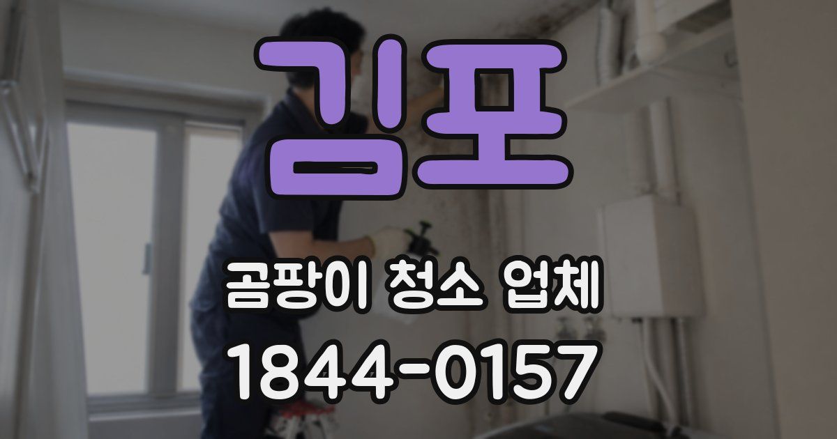 김포 곰팡이 청소 업체