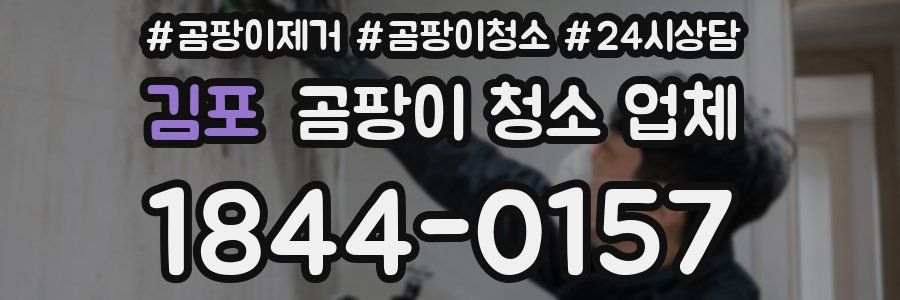 김포 곰팡이 청소 업체