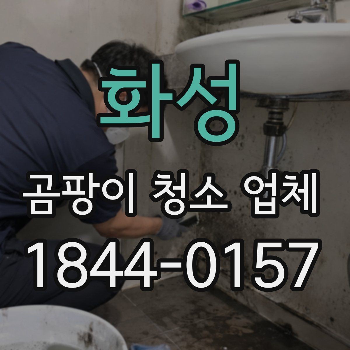 화성 곰팡이 청소 업체 숨은 곰팡이 확인이 필요한 집의 특징