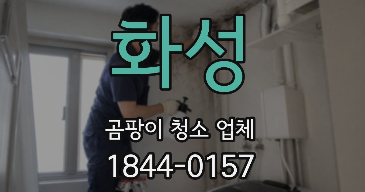 화성 곰팡이 청소 업체