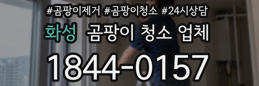 화성 곰팡이 청소 업체