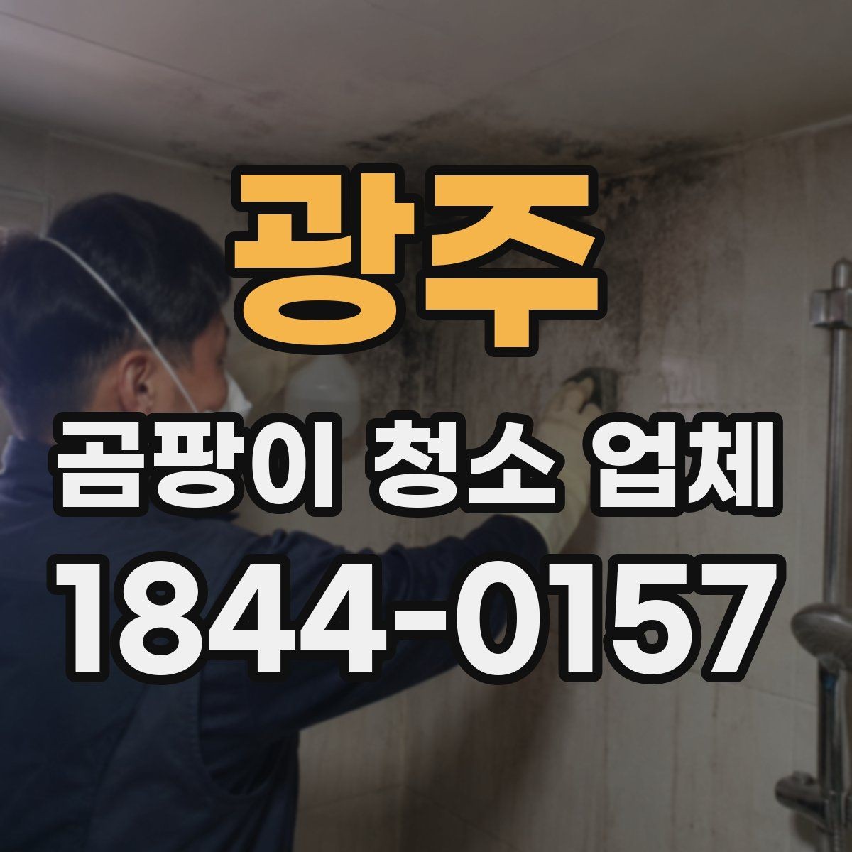 광주 곰팡이 청소 업체 견적 전 확인할 현장 작업 항목