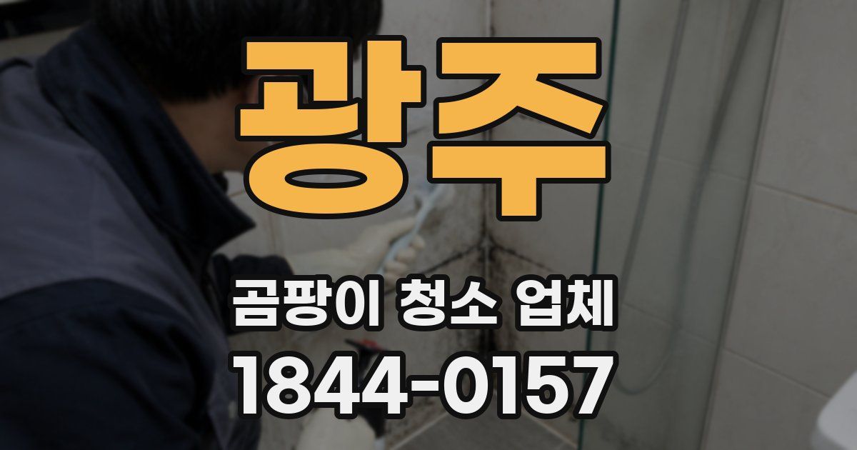 광주 곰팡이 청소 업체