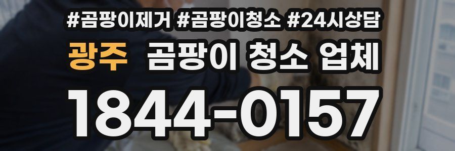 광주 곰팡이 청소 업체