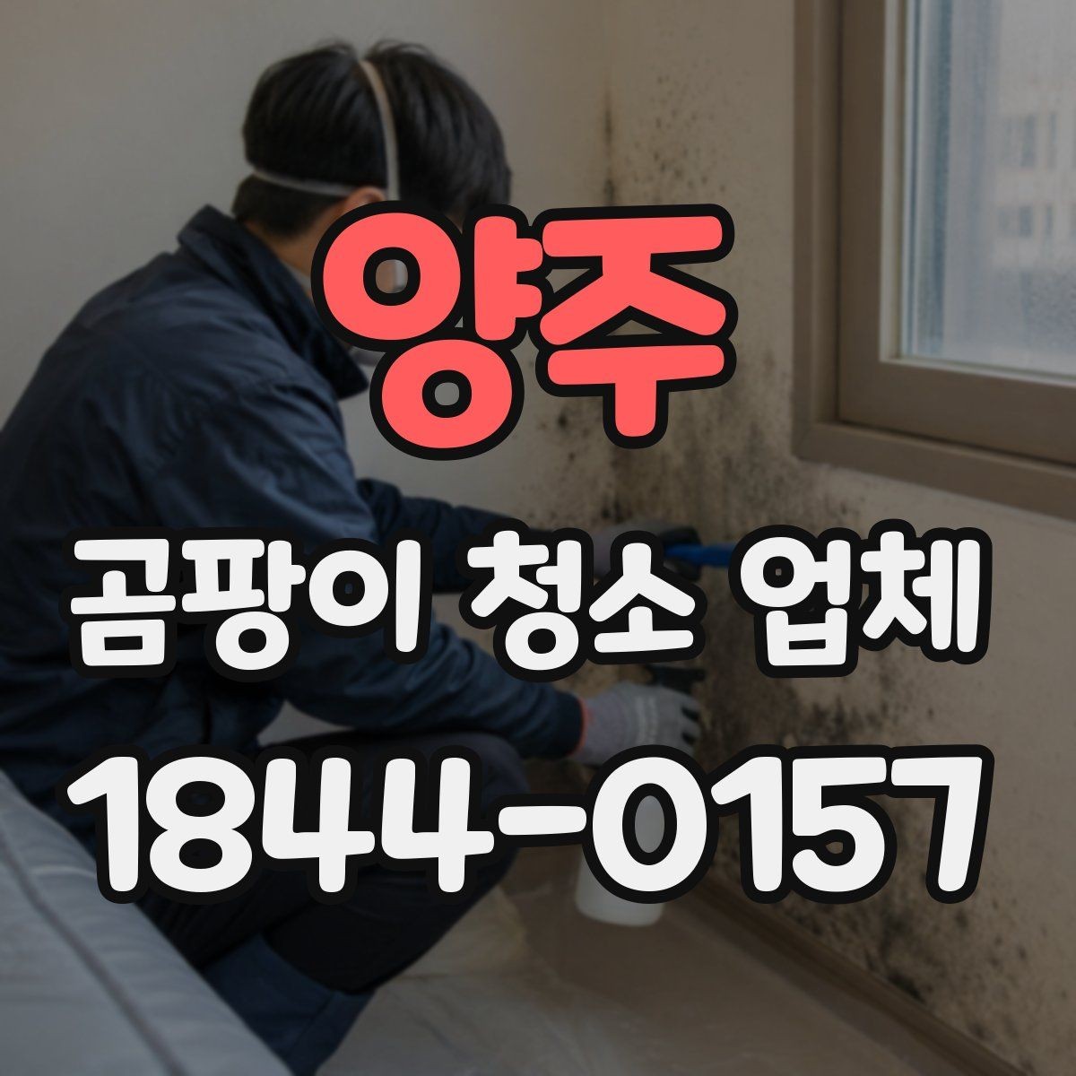 양주 곰팡이 청소 업체 작업 전 사진이 중요한 현장 사례