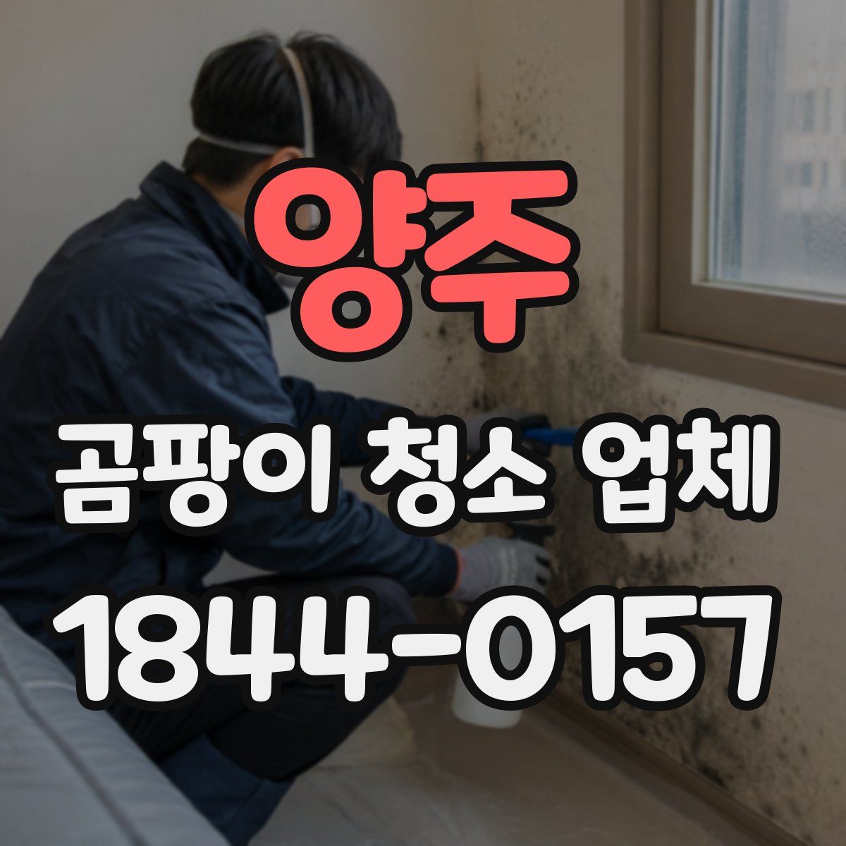 양주 곰팡이 청소 업체