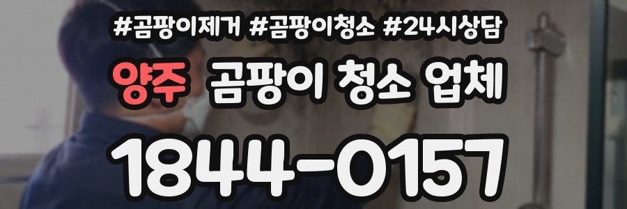 양주 곰팡이 청소 업체