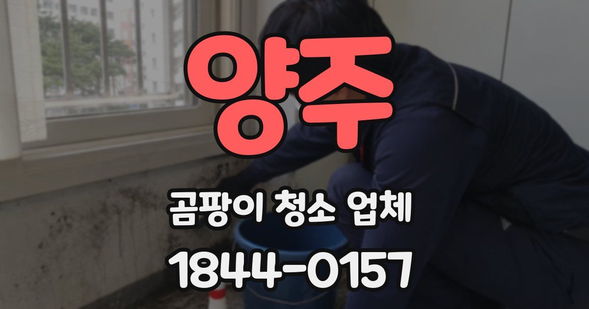양주 곰팡이 청소 업체