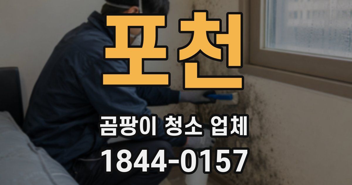 포천 곰팡이 청소 업체