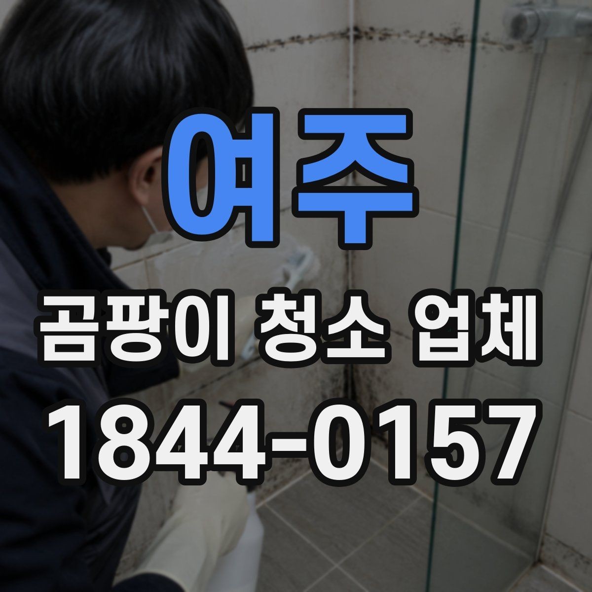 여주 곰팡이 청소 업체 전후 비교 사진이 필요한 이유