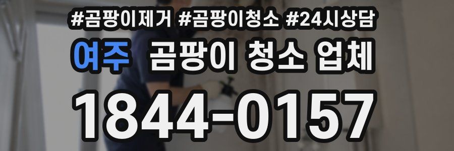 여주 곰팡이 청소 업체