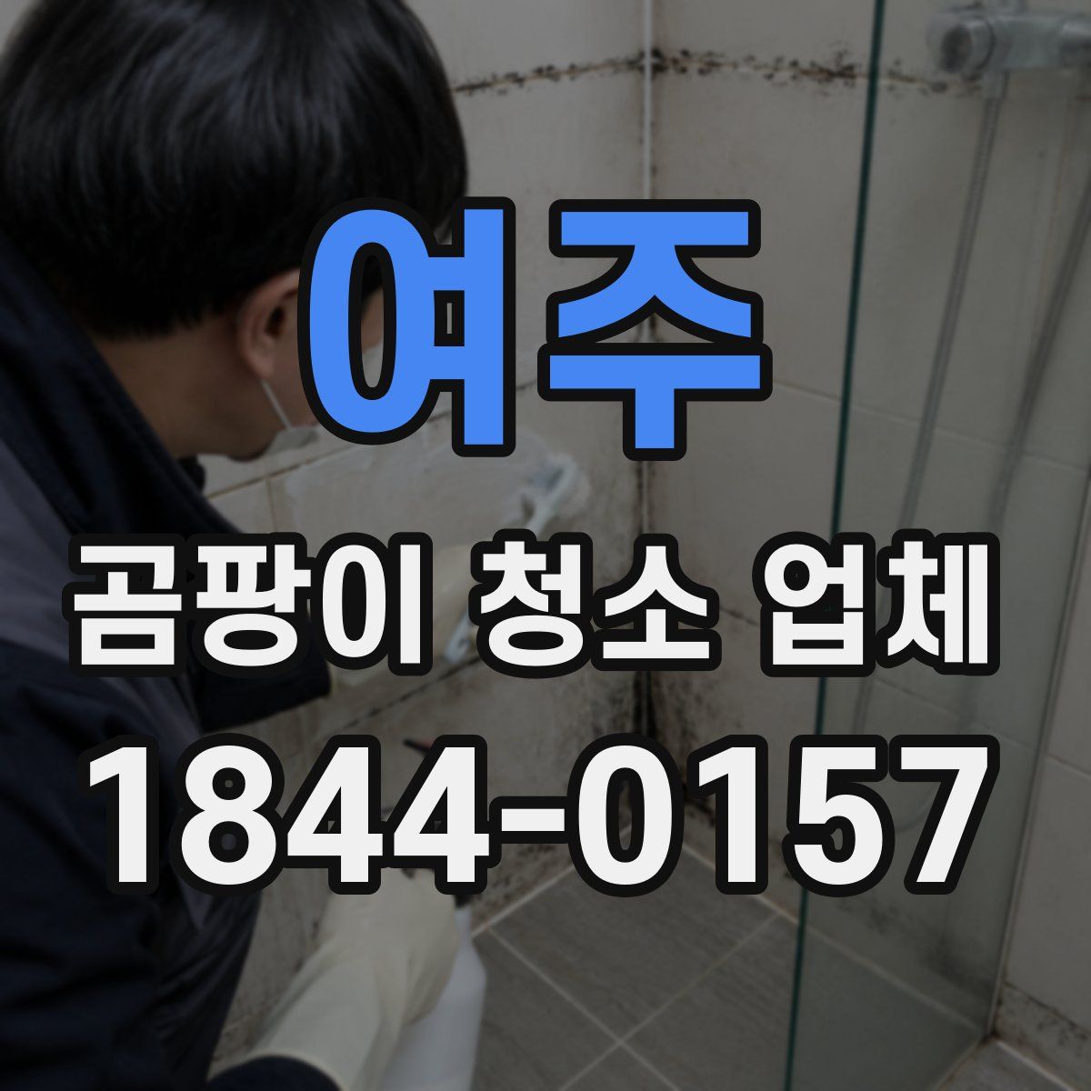 여주 곰팡이 청소 업체