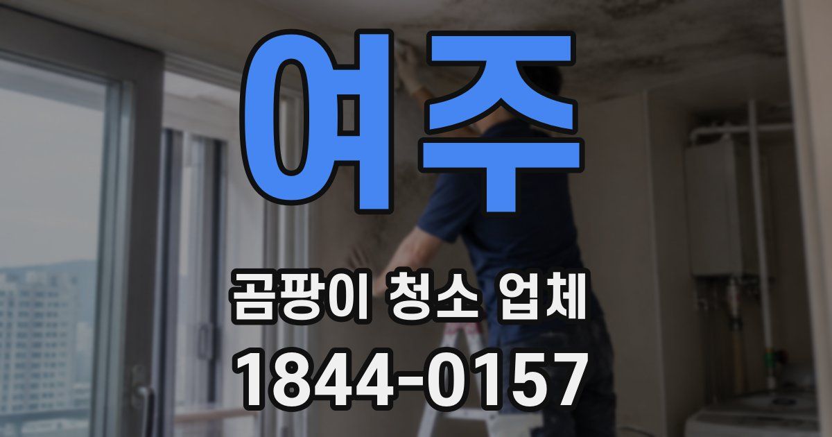 여주 곰팡이 청소 업체