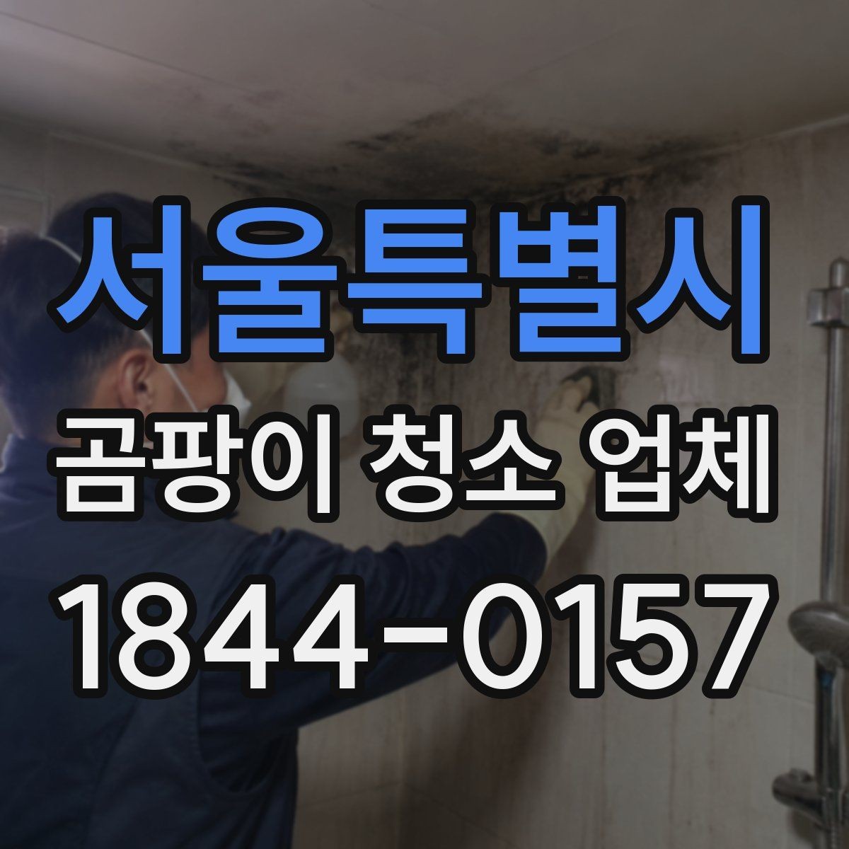 서울특별시 곰팡이 청소 업체 결로와 곰팡이를 구분해 보는 점검 방법