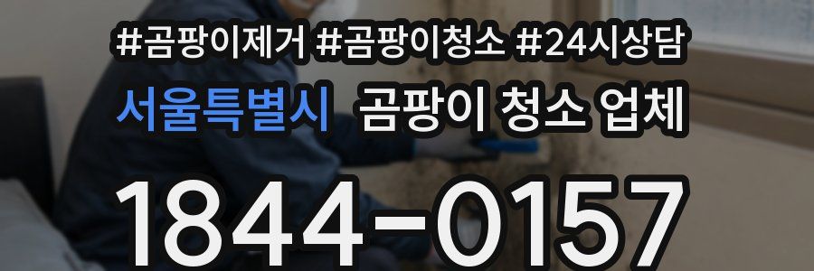 서울특별시 곰팡이 청소 업체