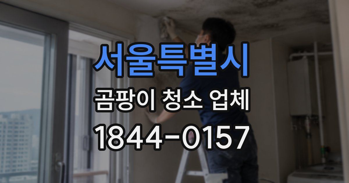 서울특별시 곰팡이 청소 업체