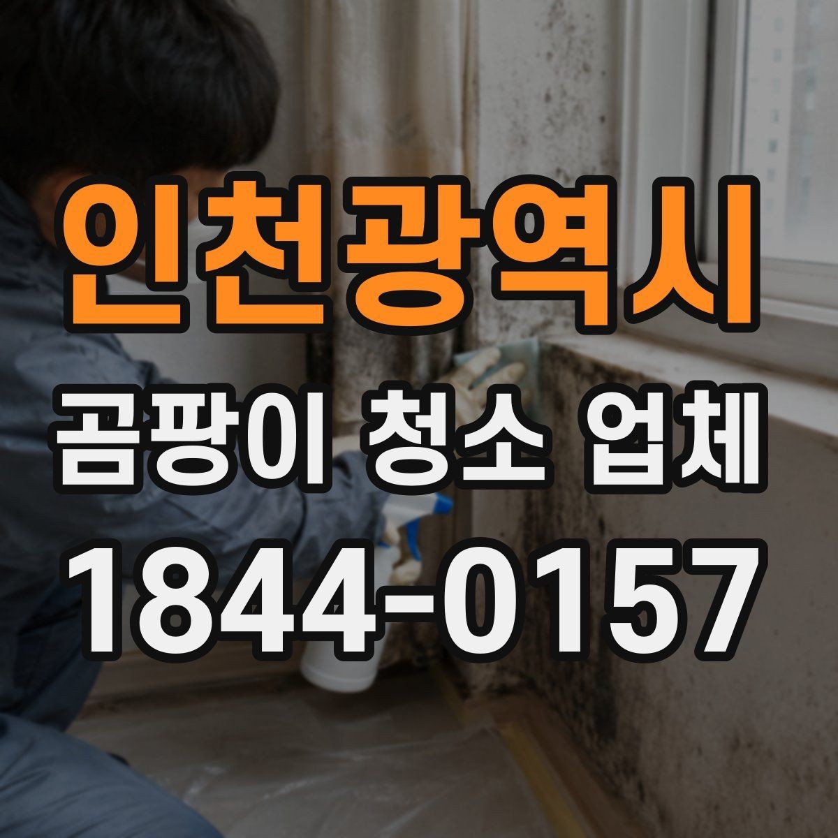 인천광역시 곰팡이 청소 업체 세입자 퇴실 전 확인할 비용과 책임