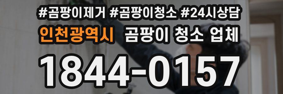 인천광역시 곰팡이 청소 업체