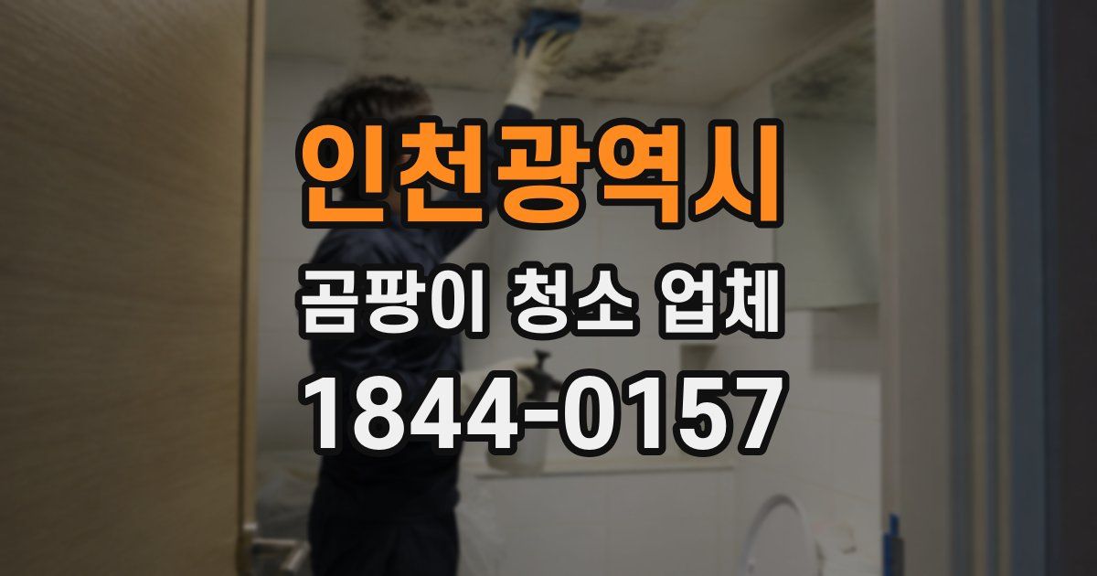 인천광역시 곰팡이 청소 업체