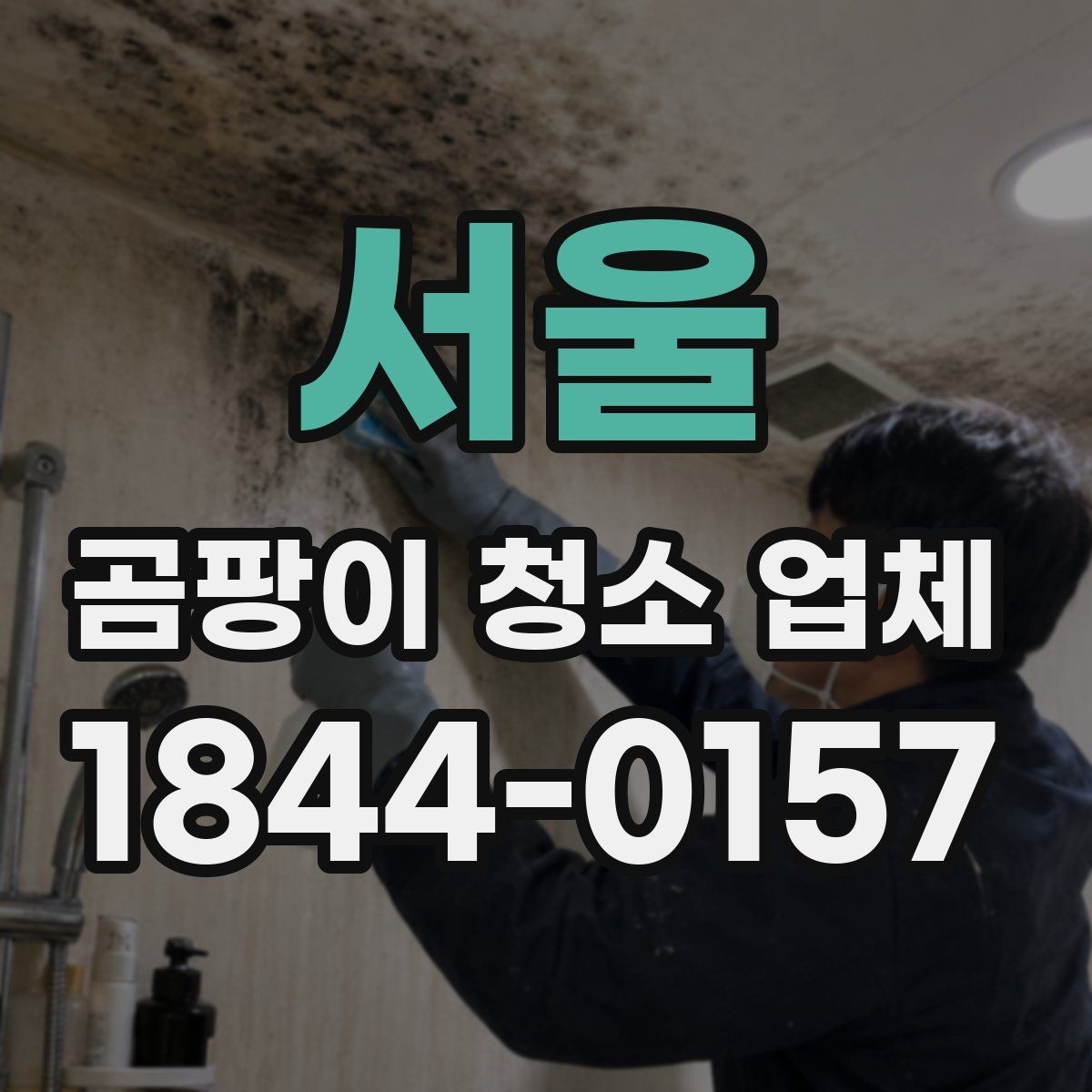 서울 곰팡이 청소 업체 침실 냄새 원인을 찾는 현장 확인법
