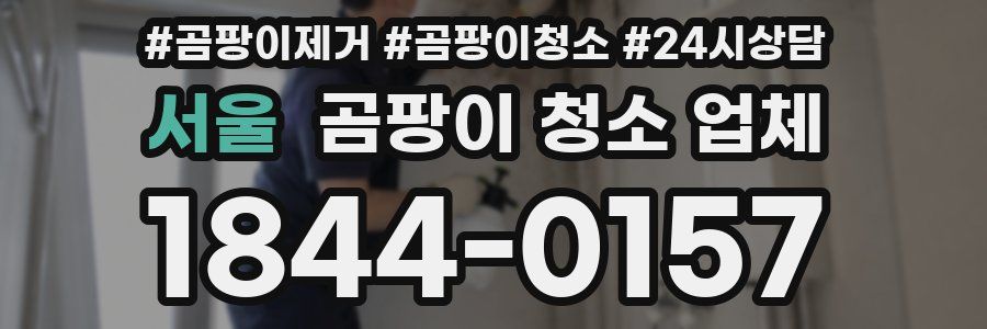 서울 곰팡이 청소 업체
