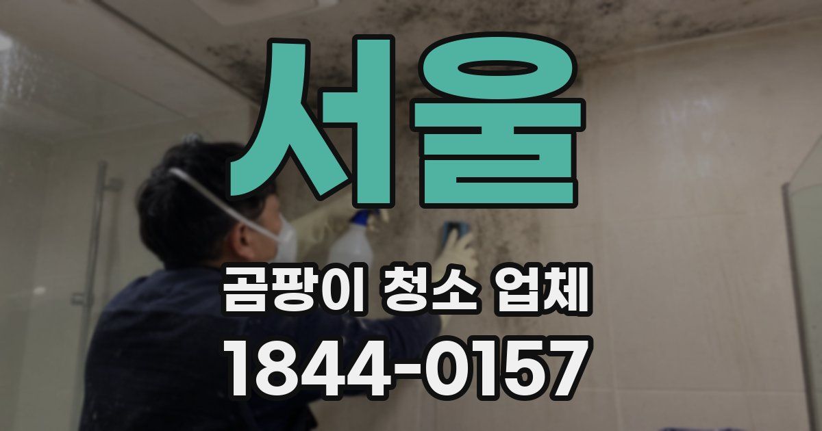 서울 곰팡이 청소 업체