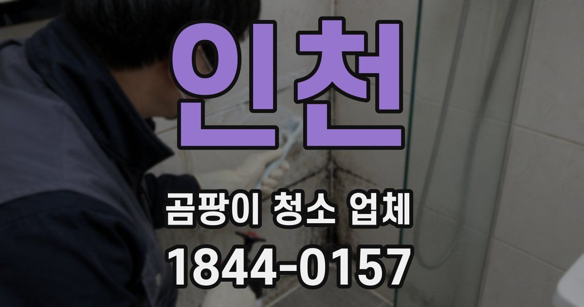 인천 곰팡이 청소 업체