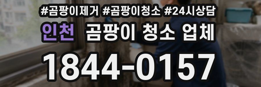 인천 곰팡이 청소 업체