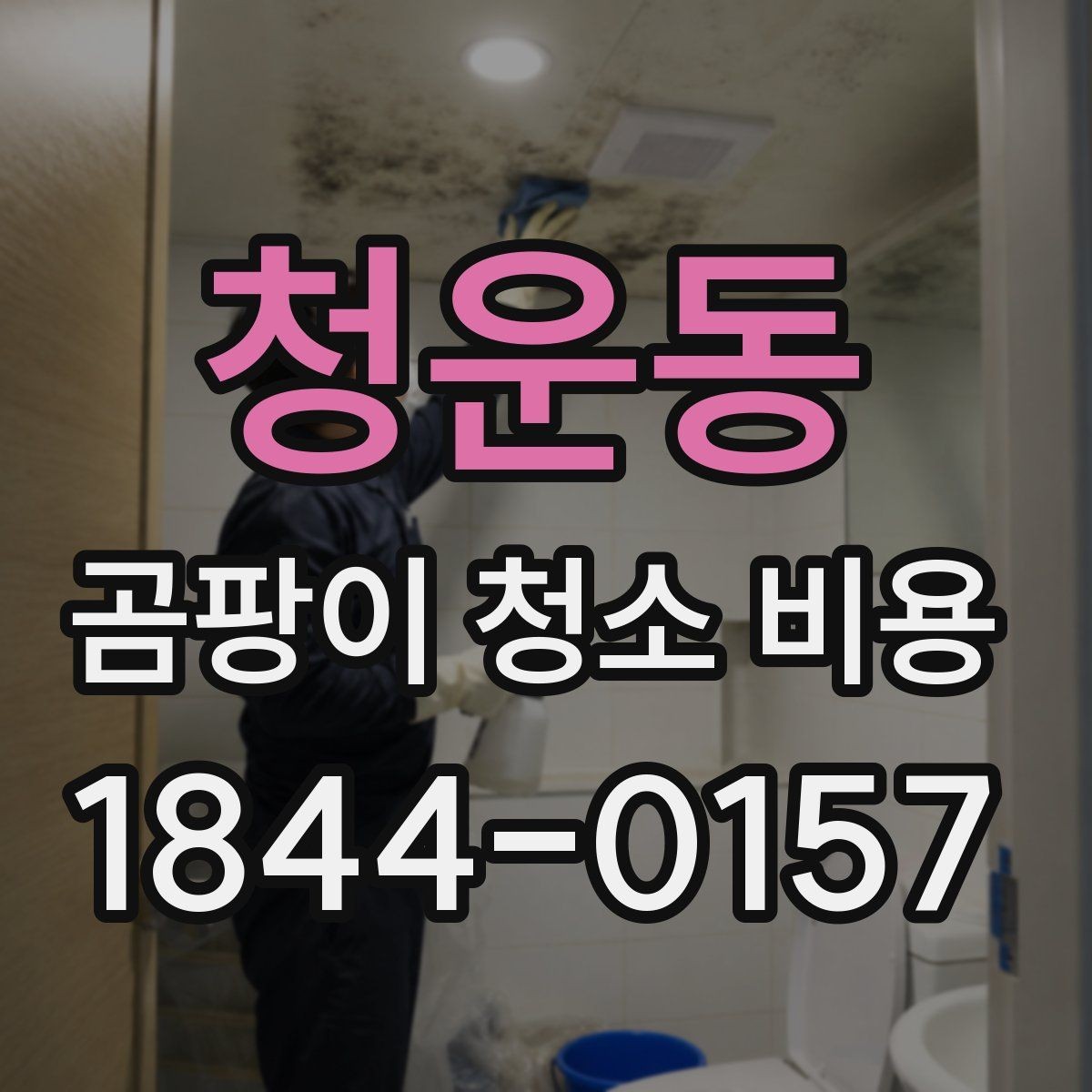 청운동 곰팡이 청소 비용 청소만으로 부족할 때 먼저 볼 점