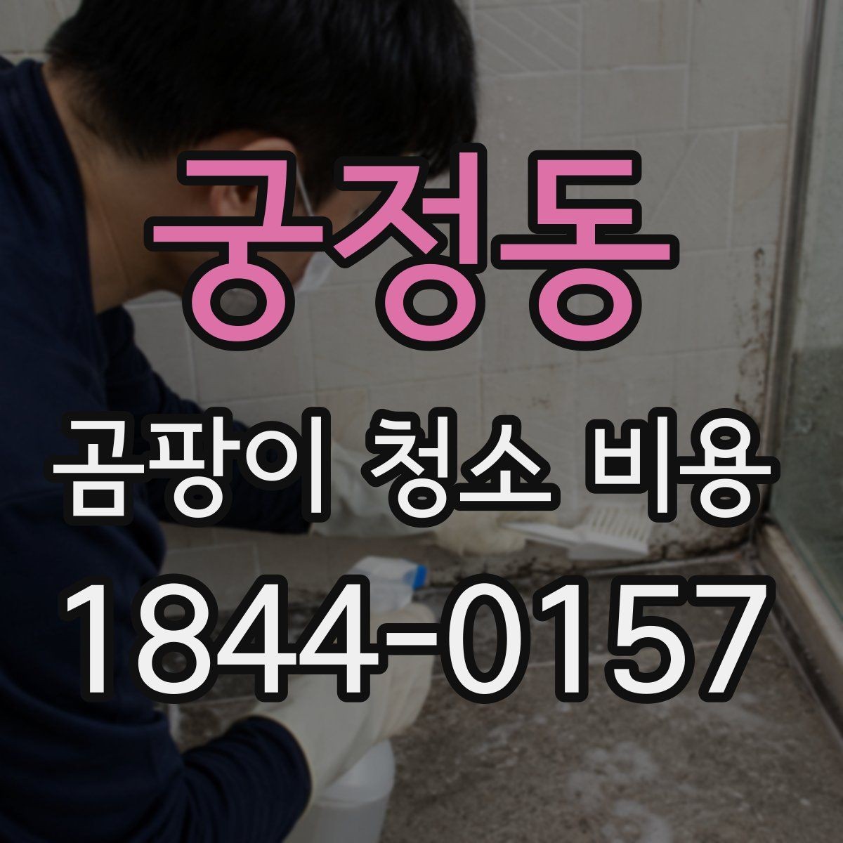 궁정동 곰팡이 청소 비용 약품 농도와 작업 시간 기준
