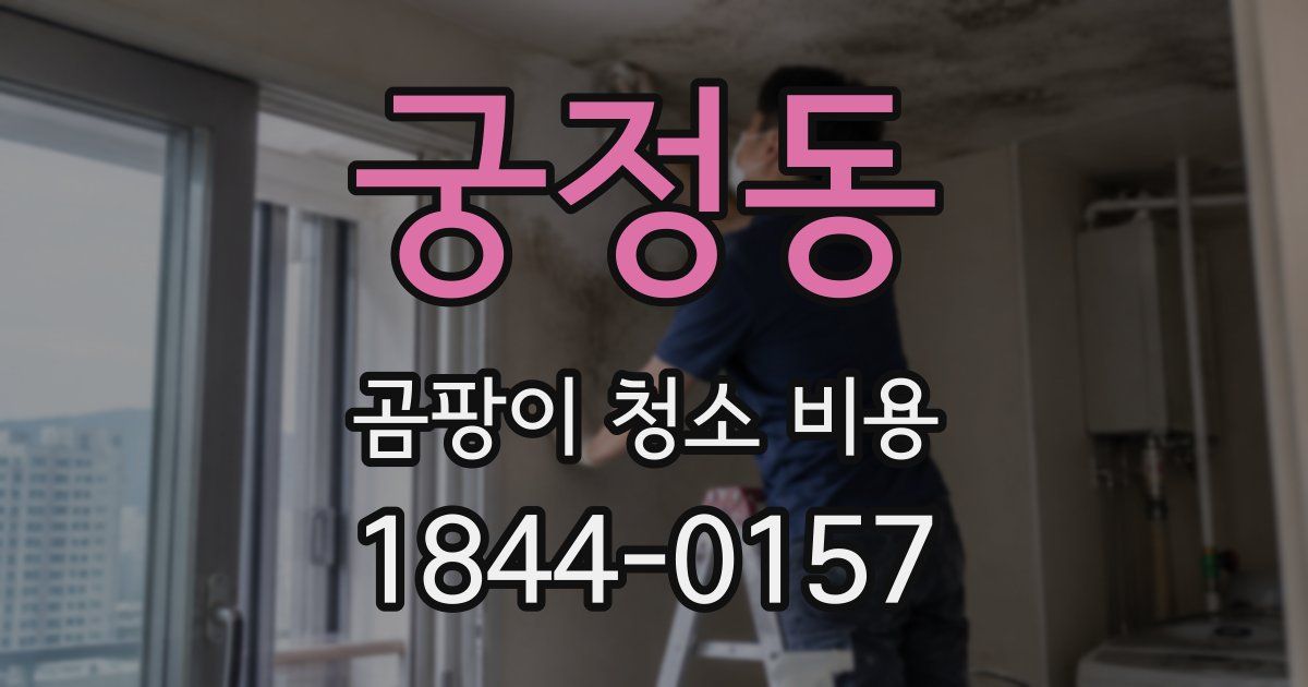 궁정동 곰팡이 청소 비용
