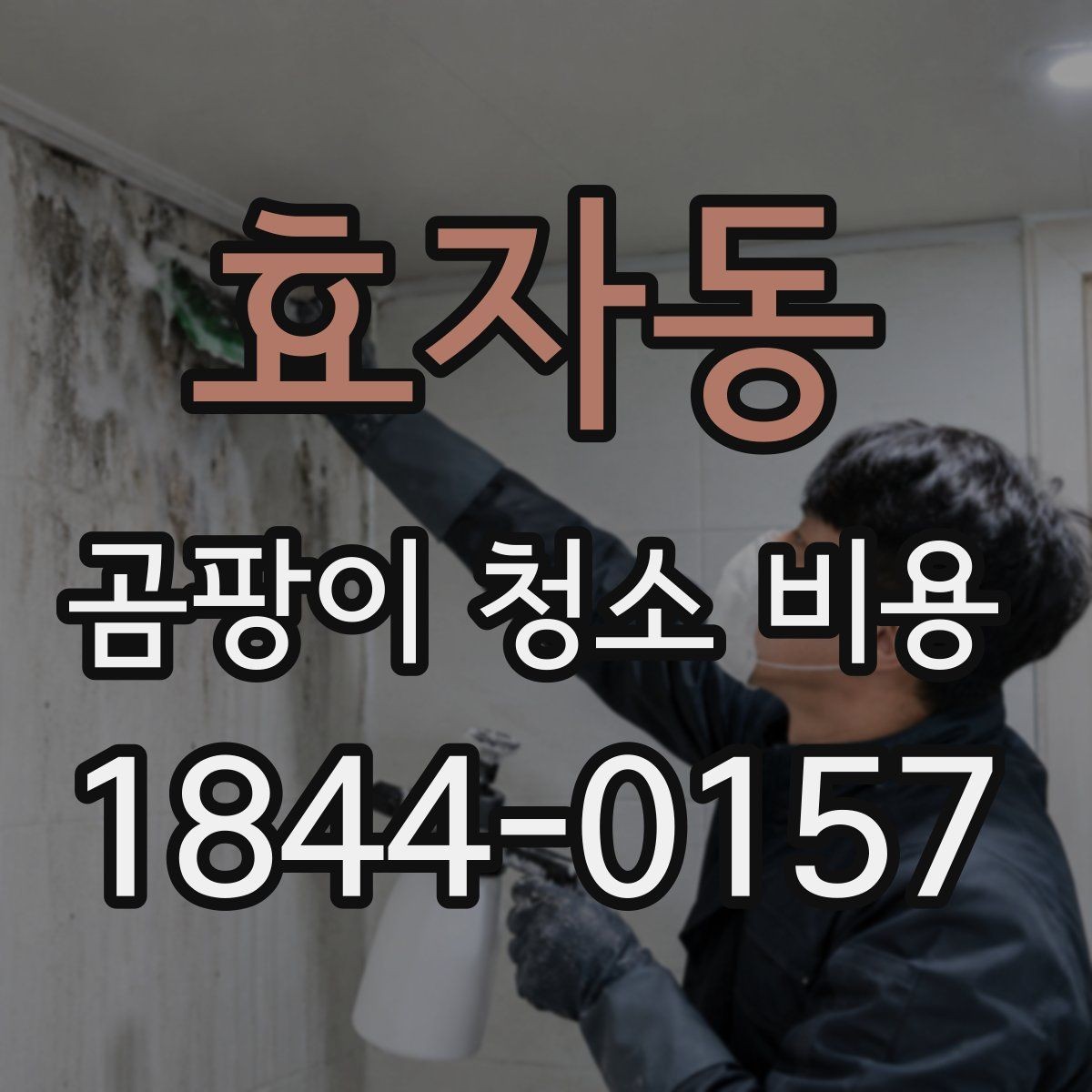 효자동 곰팡이 청소 비용 약품 처리와 인건비는 어떻게 나뉠까