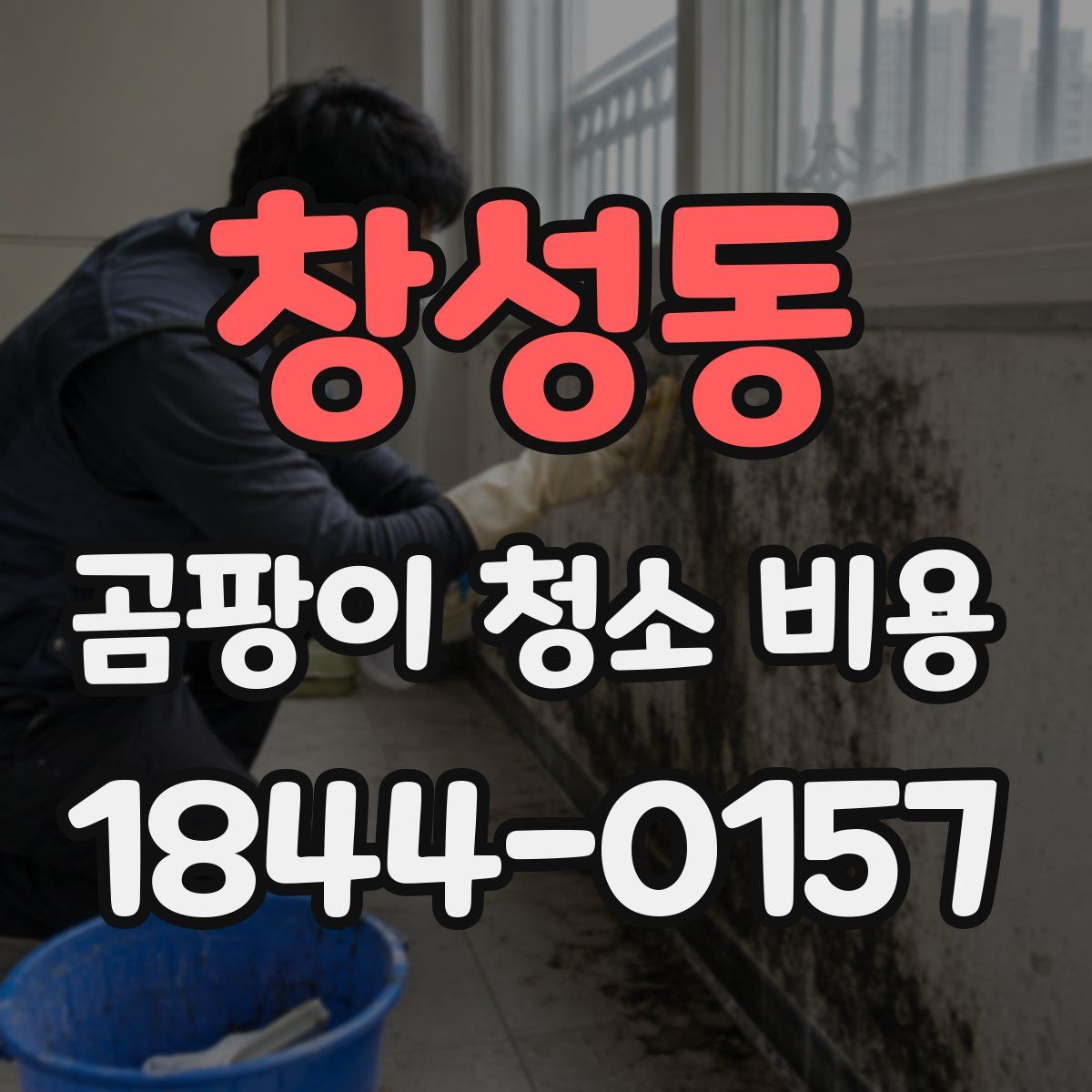 창성동 곰팡이 청소 비용