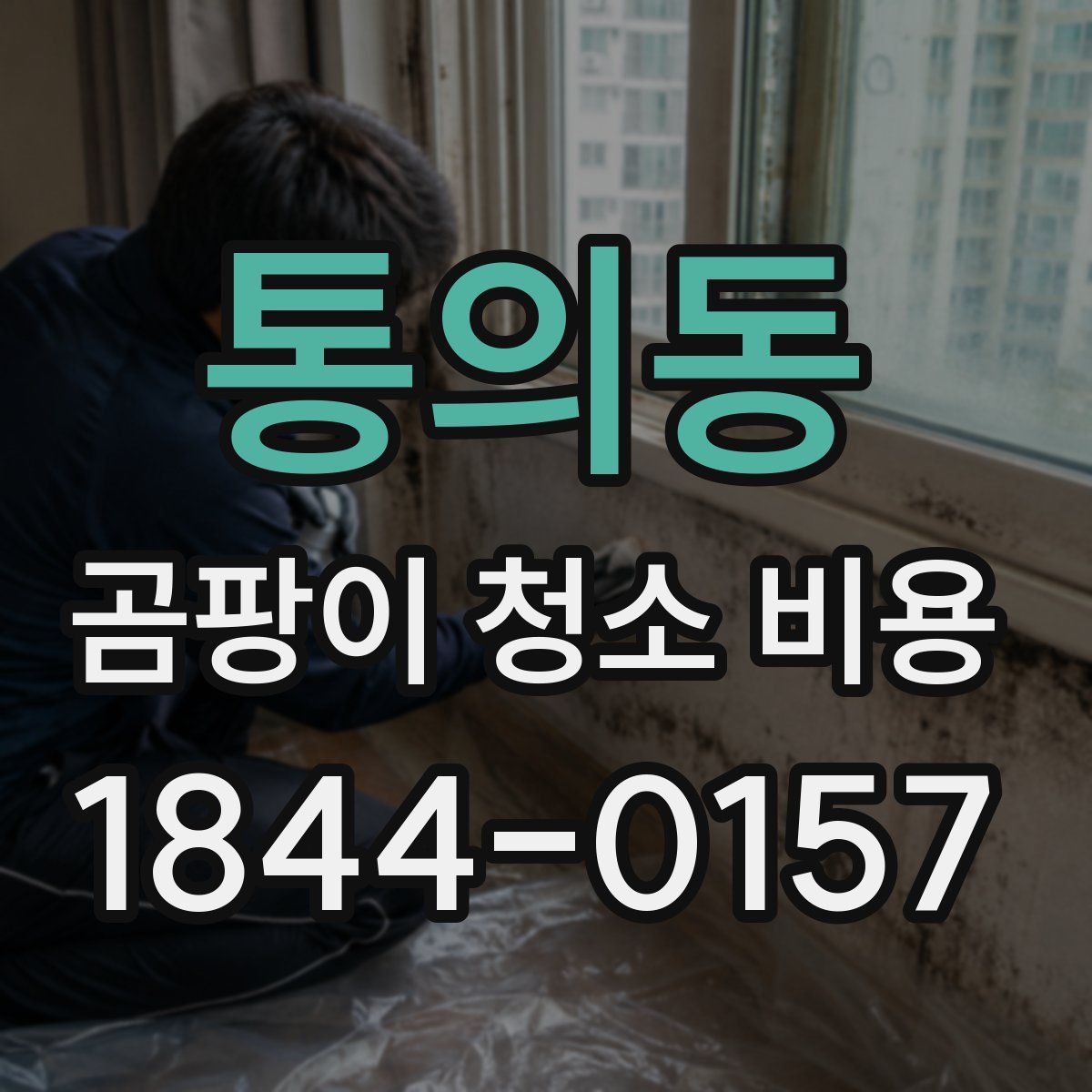 통의동 곰팡이 청소 비용