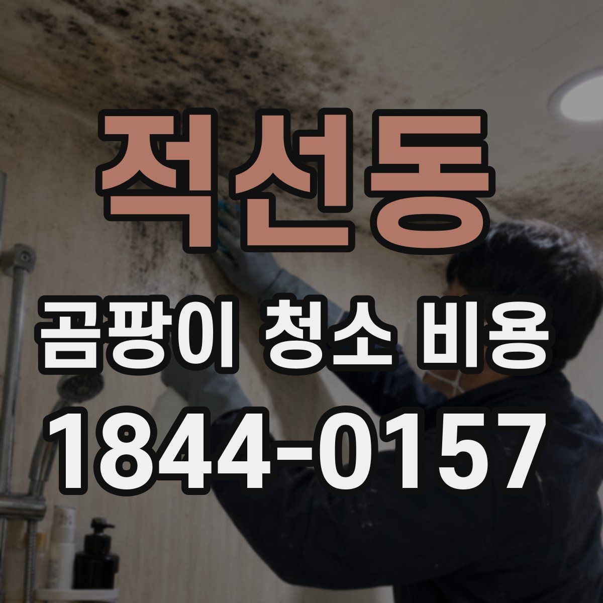 적선동 곰팡이 청소 비용 누수 흔적이 있으면 견적이 달라질까