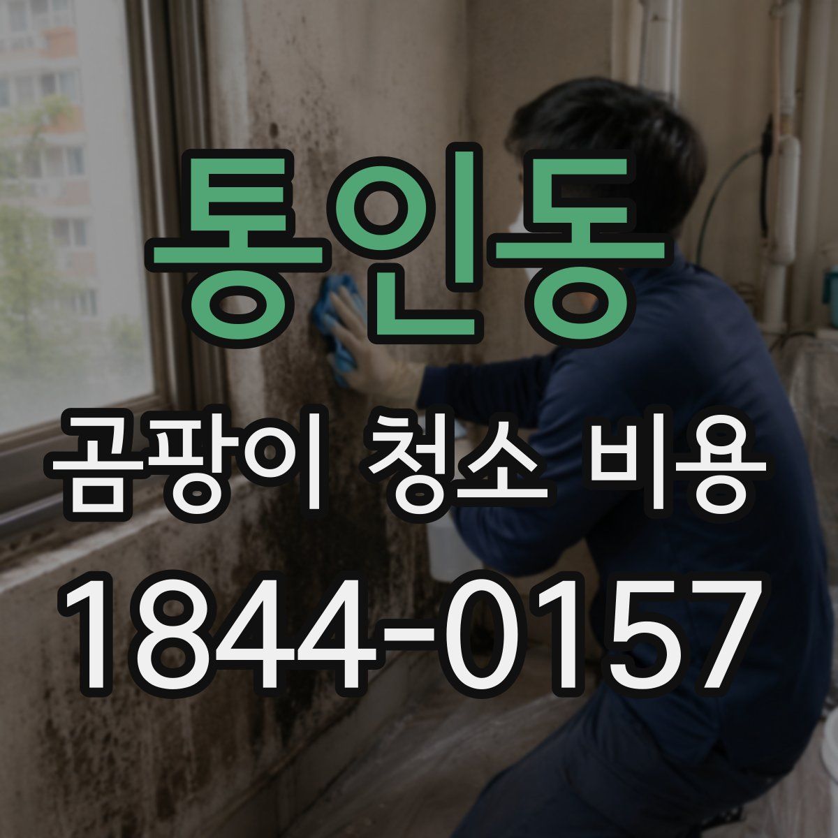 통인동 곰팡이 청소 비용