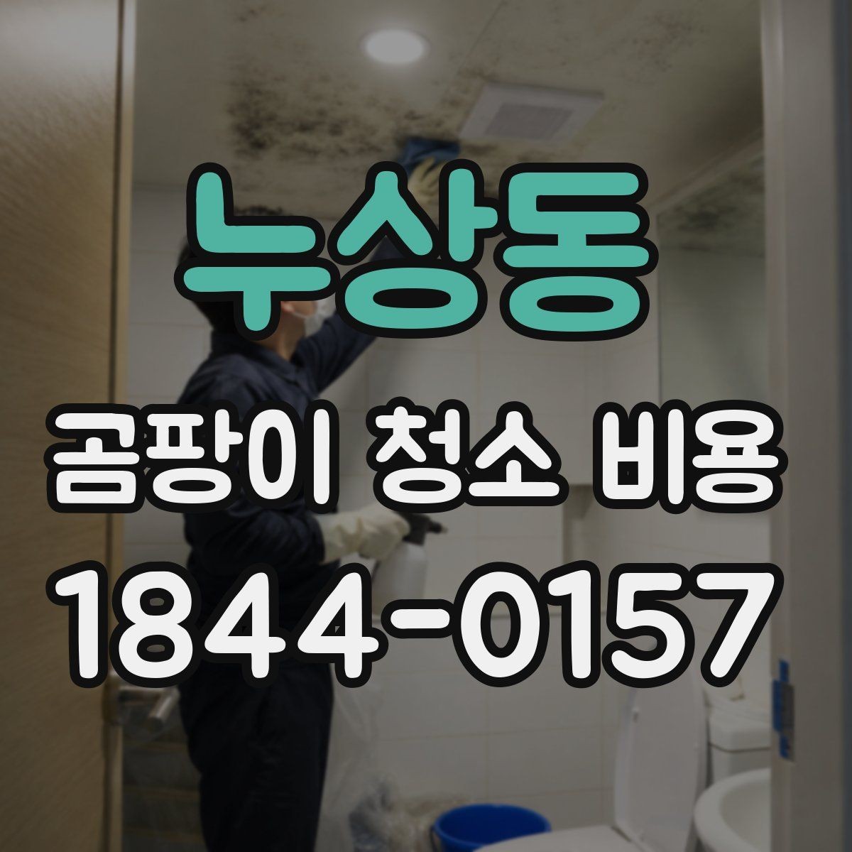 누상동 곰팡이 청소 비용 약품 세척 후 환기 관리까지 같이 볼 때