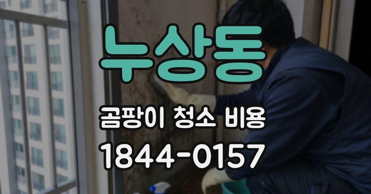 누상동 곰팡이 청소 비용