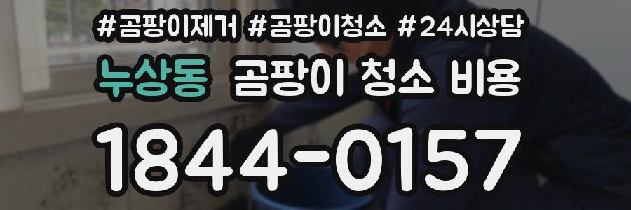 누상동 곰팡이 청소 비용