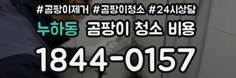 누하동 곰팡이 청소 비용