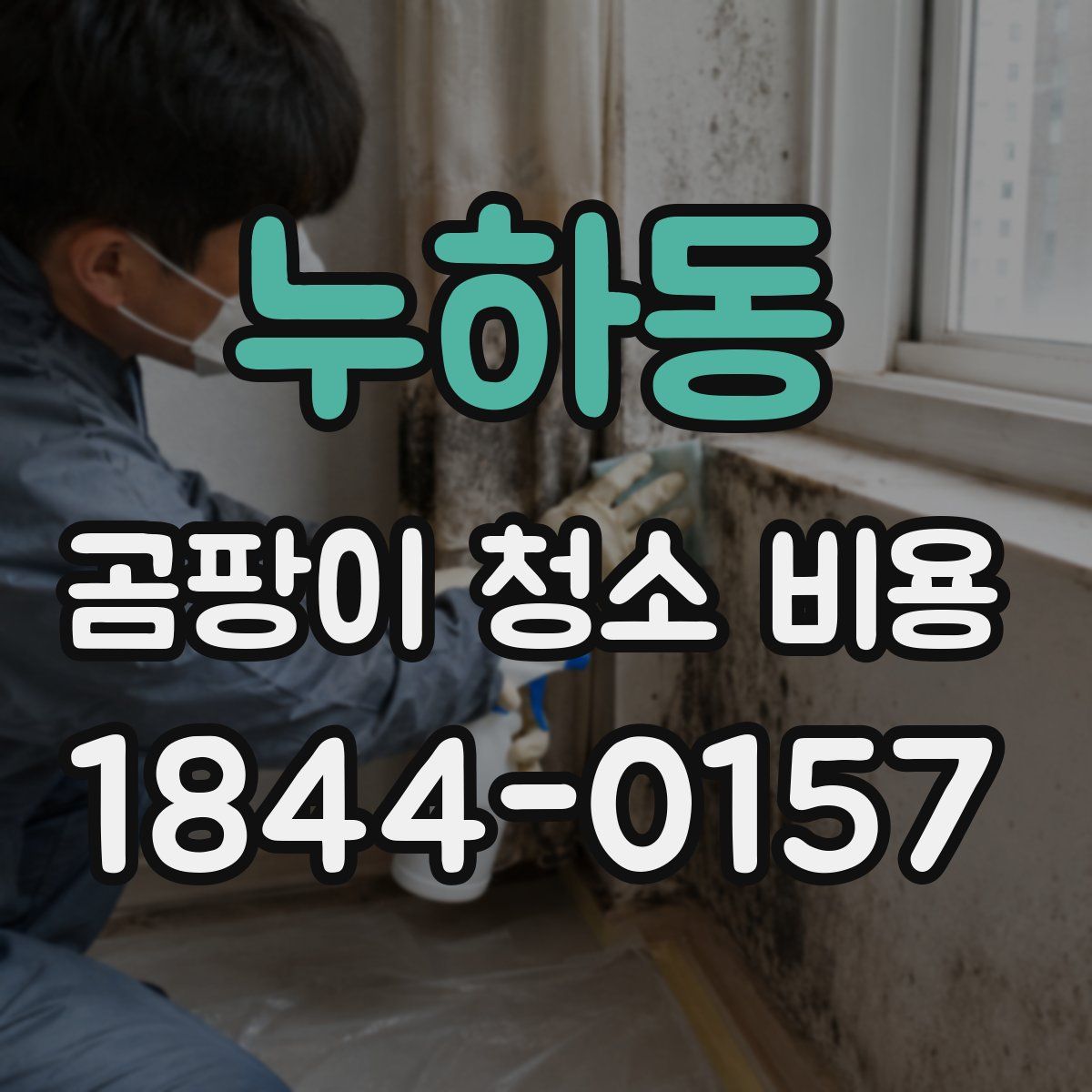 누하동 곰팡이 청소 비용
