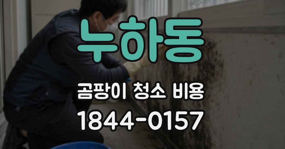 누하동 곰팡이 청소 비용
