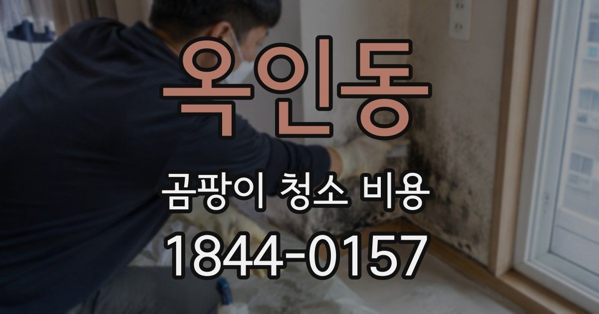 옥인동 곰팡이 청소 비용