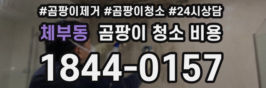 체부동 곰팡이 청소 비용