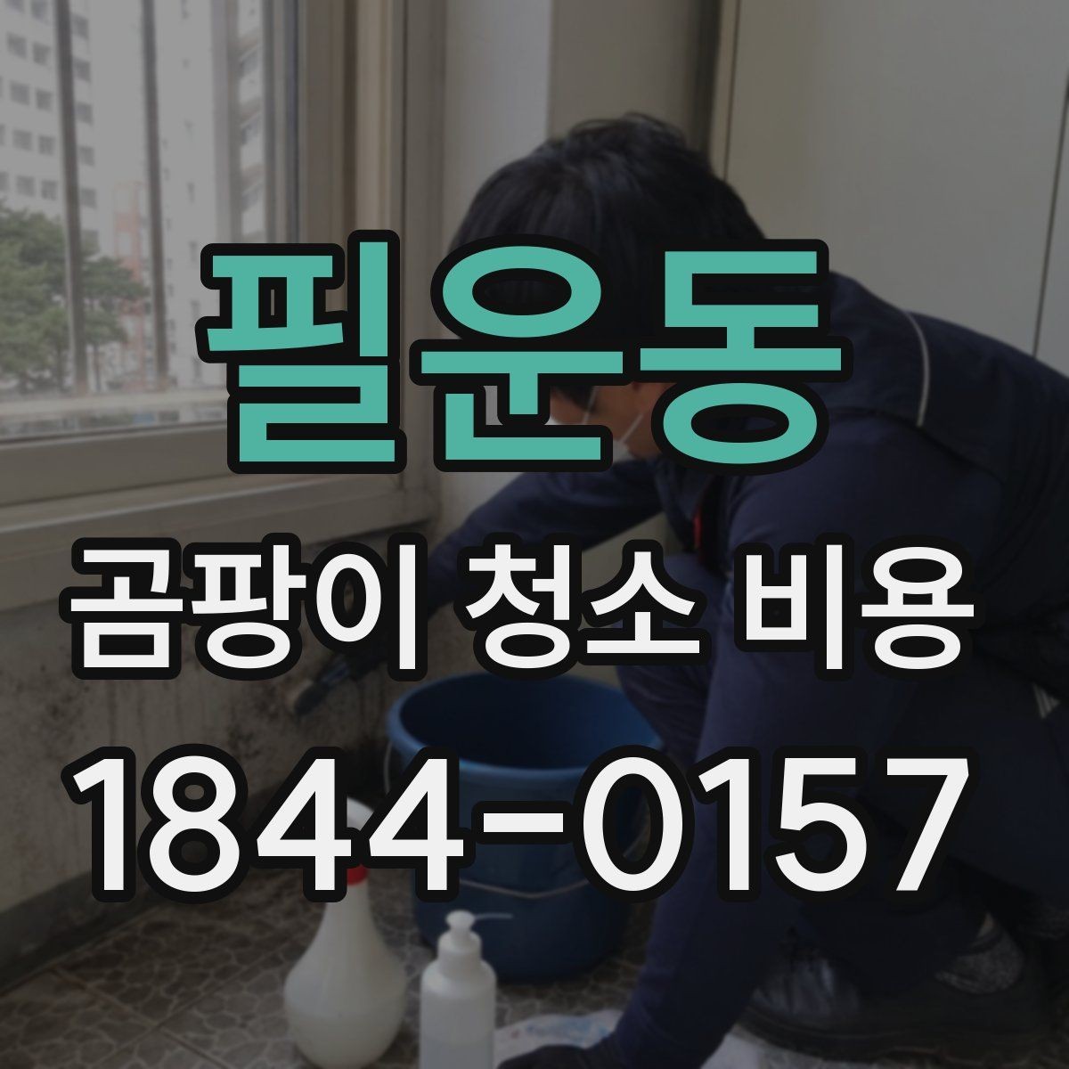 필운동 곰팡이 청소 비용 천장과 몰딩 주변이 비싸지는 상황