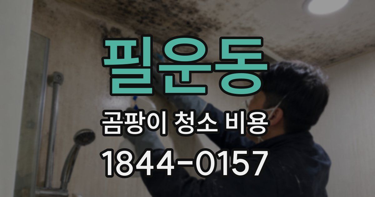 필운동 곰팡이 청소 비용